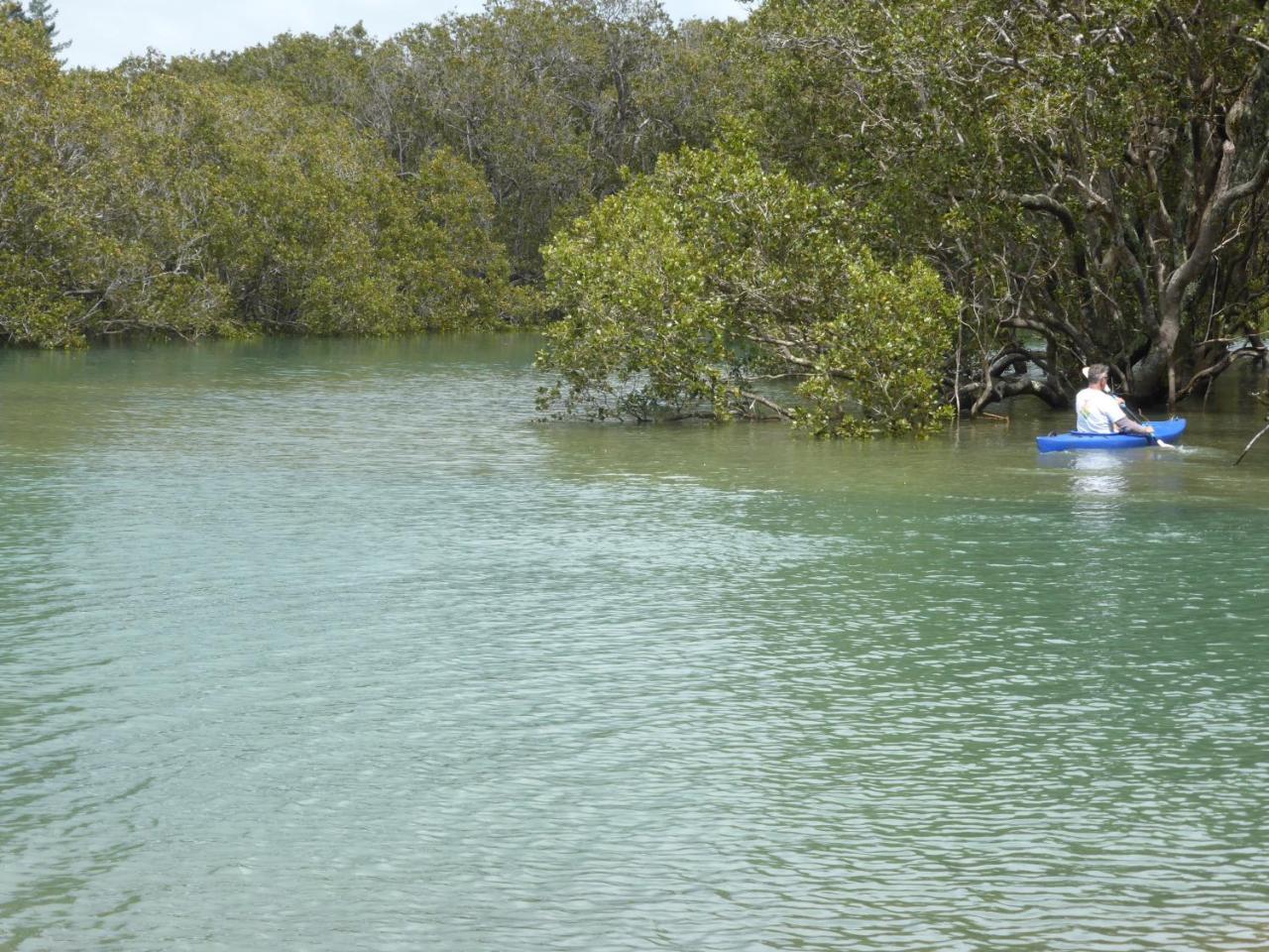 Changing Tides Bnb Paihia Exterior foto